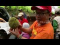 THOUSAND MILES - SURGA TERSEMBUNYI HUTAN BORNEO (23/5/17) 3-2