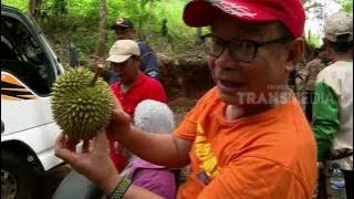 THOUSAND MILES - SURGA TERSEMBUNYI HUTAN BORNEO (23/5/17) 3-2