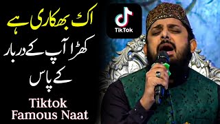 ik bhikari hai khara aap ke darbar ke paas Zohaib Ashrafi Naat | Tiktok famous naat sharif 2024