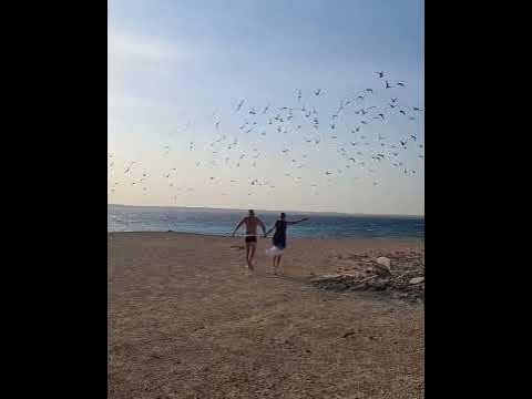 Остров Магавиш 🏝 - YouTube