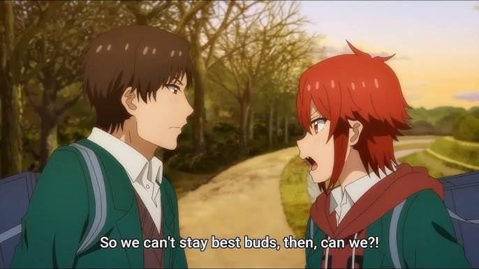 Tomo-chan wa Onnanoko! – 13 (End) and Series Review - Lost in Anime