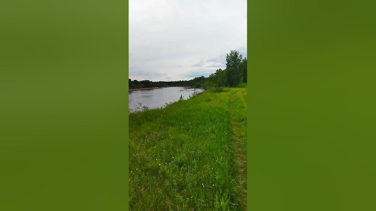 Сегодня любовались красотами реки Клязьма, пикник и велопрогулка#дача # ...