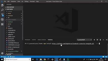 02 Demo  Installing Loopback MongoDB Connector