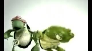 Rokii Dokii - Turtle Reggae