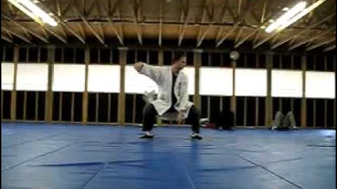 The Art of Effortless Power: 12 Move T