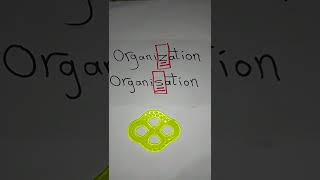 الكتابة الصحيحة لكلمة Organization