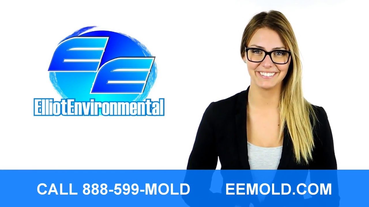 Michigan's Mold Remediation Company | Your Black Mold Remediation - Bay City MI