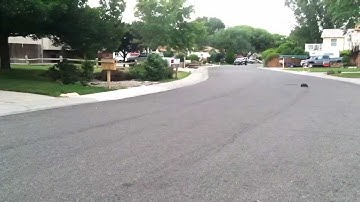 DIRTY D RC - CUSTOM MADE Traxxas rustler low center gravity lcg kit slash CONVERSION