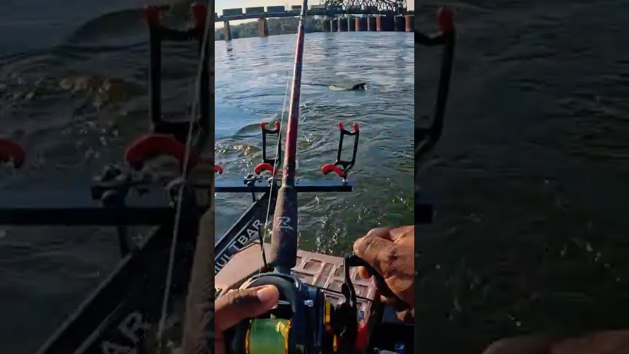 Not Your Normal Door Lockshortsvideo - YouTube Auto PHP Script