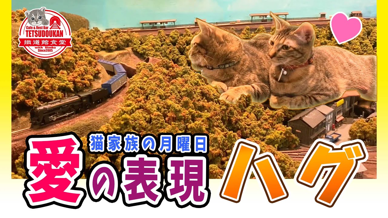 💖愛の表現…ハグ💖〜猫家族の月曜日