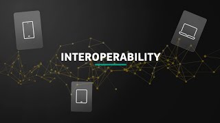 Discover eu-LISA - Interoperability & Large-Scale IT Systems