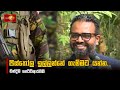 පිස්තෝල|sin