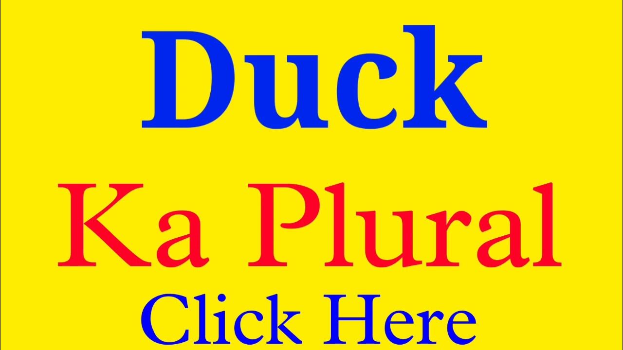Duck ka plural duck plural Duck plural form plural form of duck YouTube