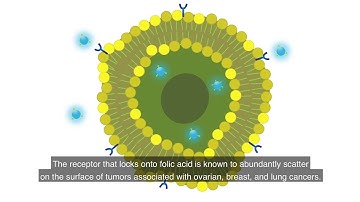 Synthesis of Luminescent Carbon Dots (English captions)