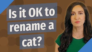 Is it OK to rename a cat? Resimi