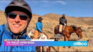 The Ingles Open Road: Pisgah Forest Stables