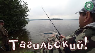 видео: ПРОВЕРИЛИ ТАГИЛЬСКИЙ НА НАЛИЧИЕ КЛЁВА, НЕ УПУСТИ КРУПНОГО ЛЁВУ, С НОЧЕВОЙ НА ФИДЕР РЫБАЛКА НА УРАЛЕ! картинка: ПРОВЕРИЛИ ТАГИЛЬСКИЙ НА НАЛИЧИЕ КЛЁВА, НЕ УПУСТИ КРУПНОГО ЛЁВУ, С НОЧЕВОЙ НА ФИДЕР РЫБАЛКА НА УРАЛЕ!