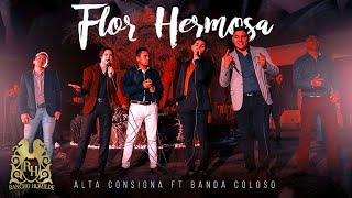 Alta Consigna ft Banda Coloso - Cruzando Cerros y Arroyos (En Vivo)