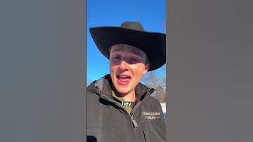 Is AI editing the future?!