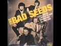 The Bad Seeds - All Night Long