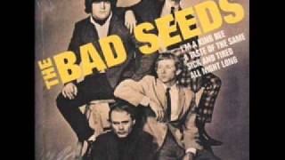 The Bad Seeds - All Night Long chords