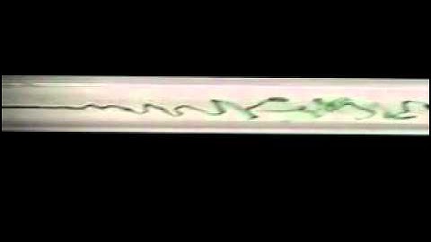 Poiseuille - Low to High Reynolds Number