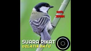 Download lagu Suara pikat gelatik batu anti gagal mp3 ⁉️