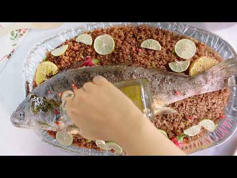 ديما لمواد التعبئة و التغليف