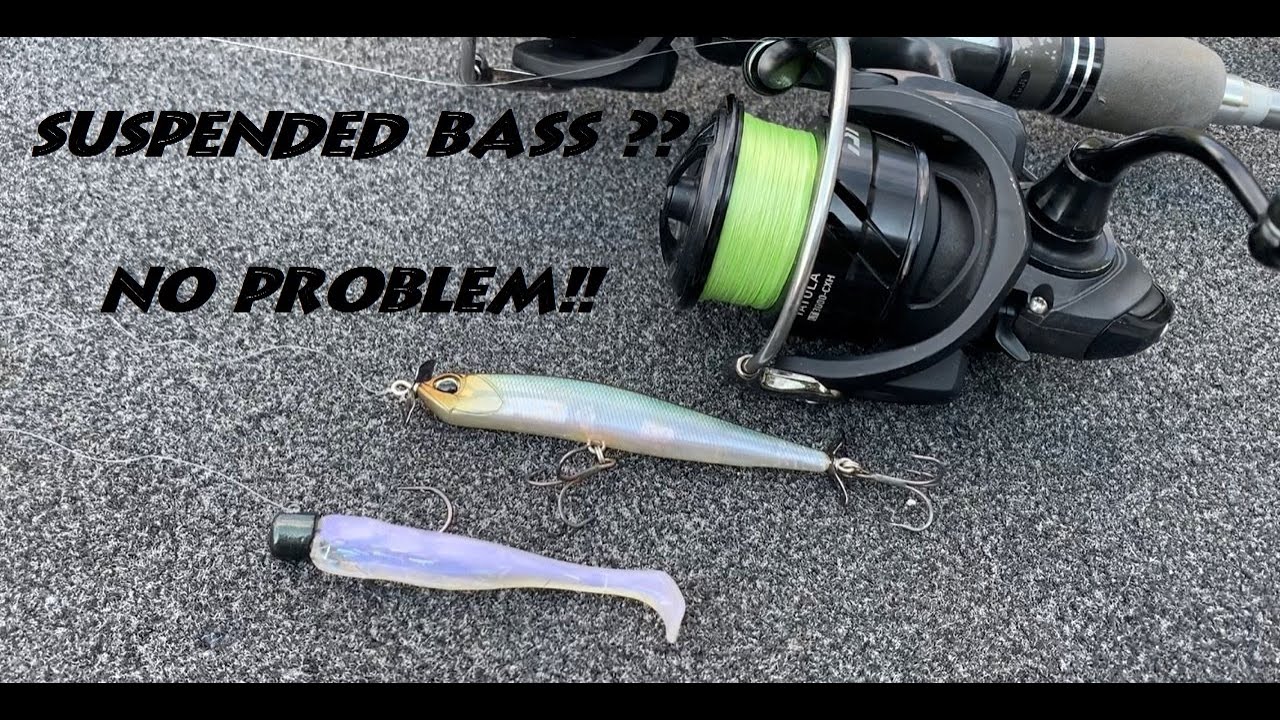Fishing for suspended bass techniques Lake Lanier YouTube