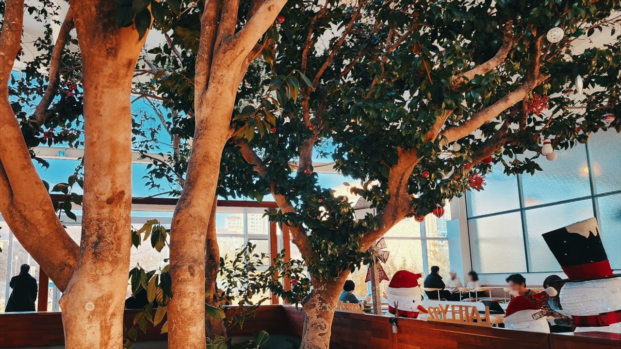 ASMR 대형 카페 소리 백색소음 | 한겨울 한낮의 카페에서 따뜻한 시간