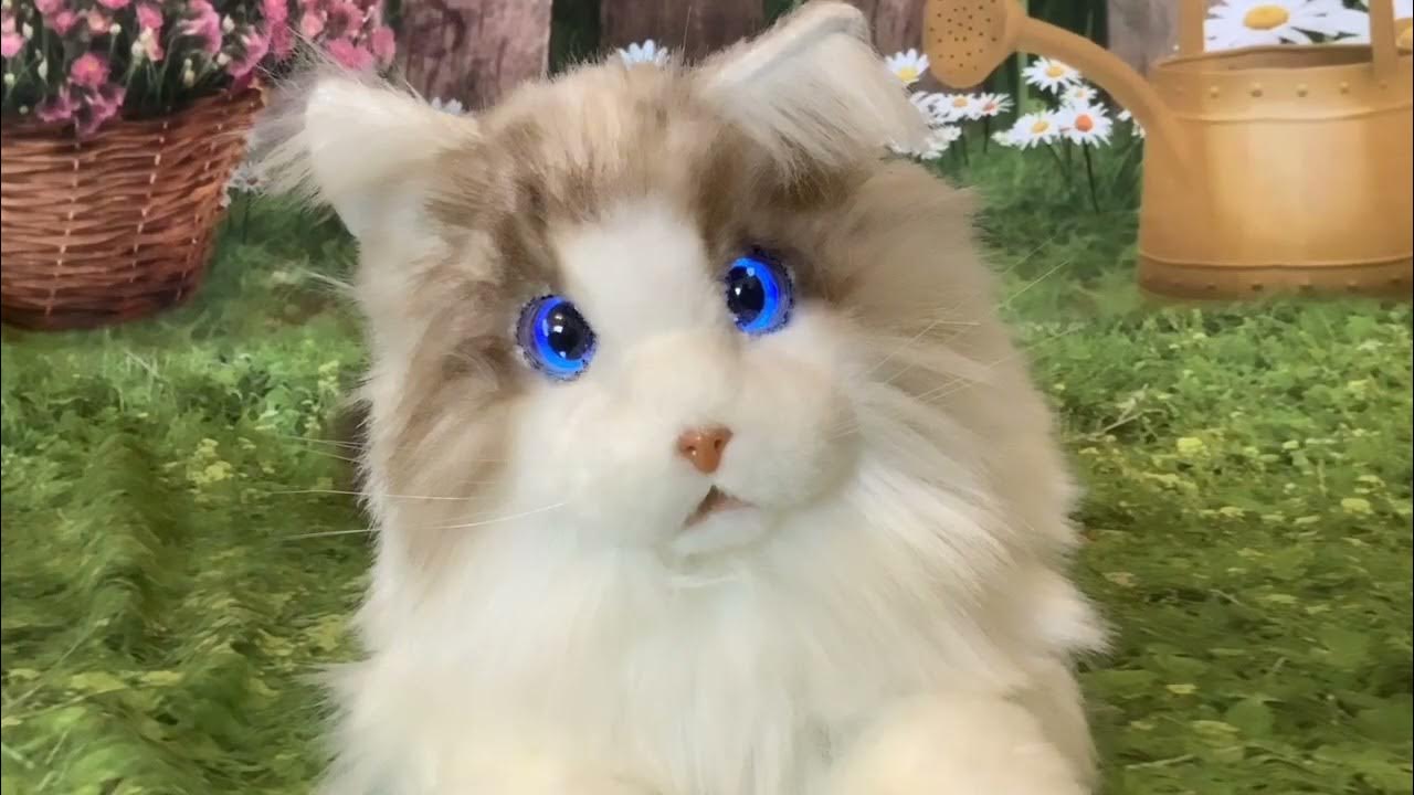 Elephant Robotics New Robotic Pet Cat Metacat Version 2.0 with voice ...