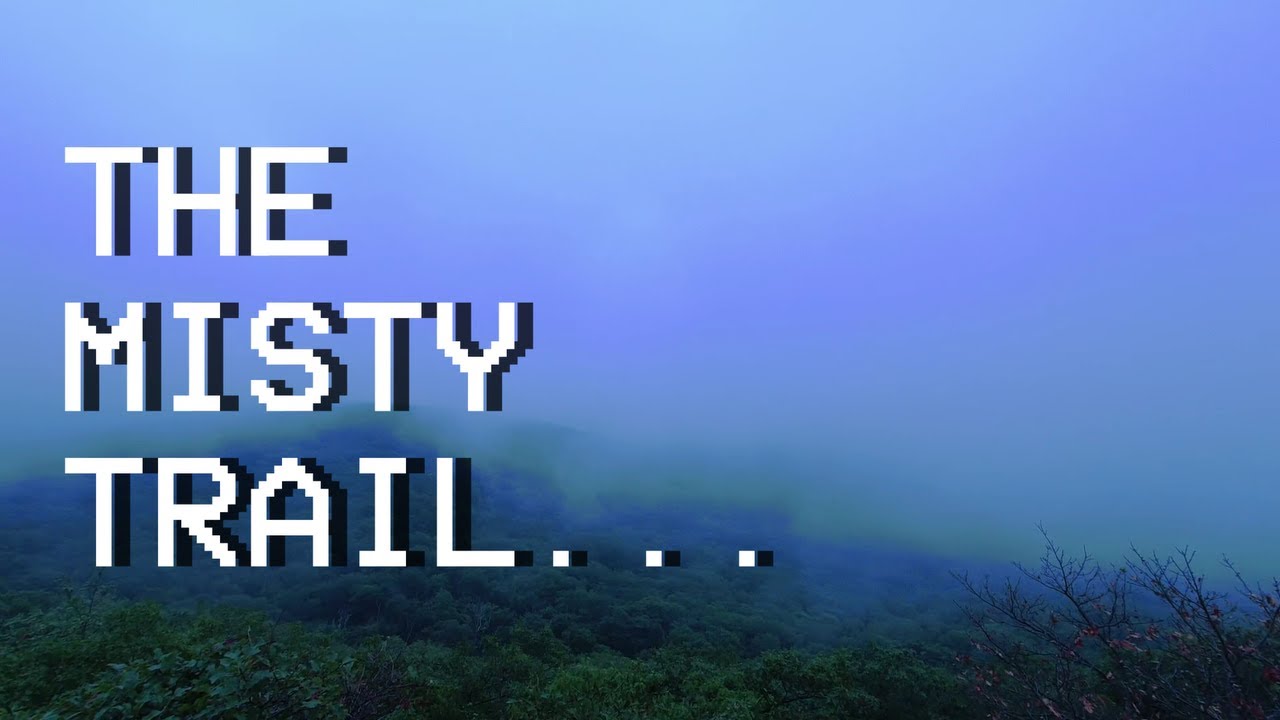 Climbing Mount Frissell | Connecticut's Highest Peak