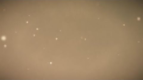 Spacelords- No Reservations with an Antagonist Loaht