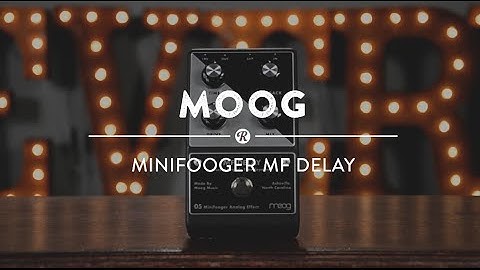 Moog MF-Delay vs MF-104M | Reverb Video Demo