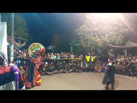 Solah Prabu Singo barong "MANGGOLO CAHYO MUDO", lagu Kapten oLeng+sayang Solah Prabu Singo barong "MANGGOLO CAHYO MUDO", lagu Kapten oLeng+sayang