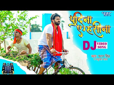 Le Lo Pudina - पवन सिंह का यह गाना DJ पर बवाल मचा रखा है