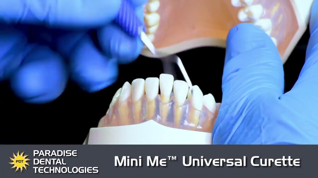 PDT Mini Me R089 - YouTube