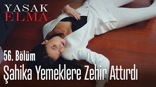 Şahika'nın en büyük oyunu - Yasak Elma 56. Bölüm