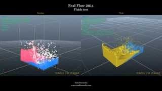 Real Flow 2014   Fluids test