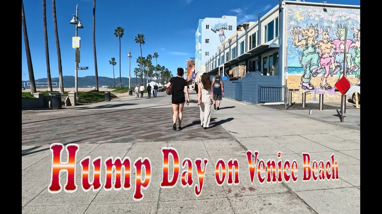 Hump Day Bike Tour of Sunny Venice Beach 1/7/2026