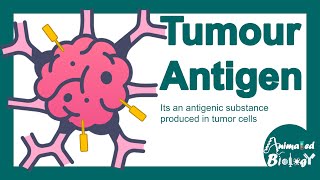 Tumour antigens | Tumour specific antigen | Tumourassociated antigen | Tumour immunity