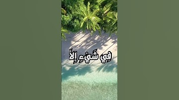 سورة ال عمران ايه 28