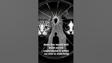 The Cat That’s Alive and Dead at the Same Time — Schrödinger