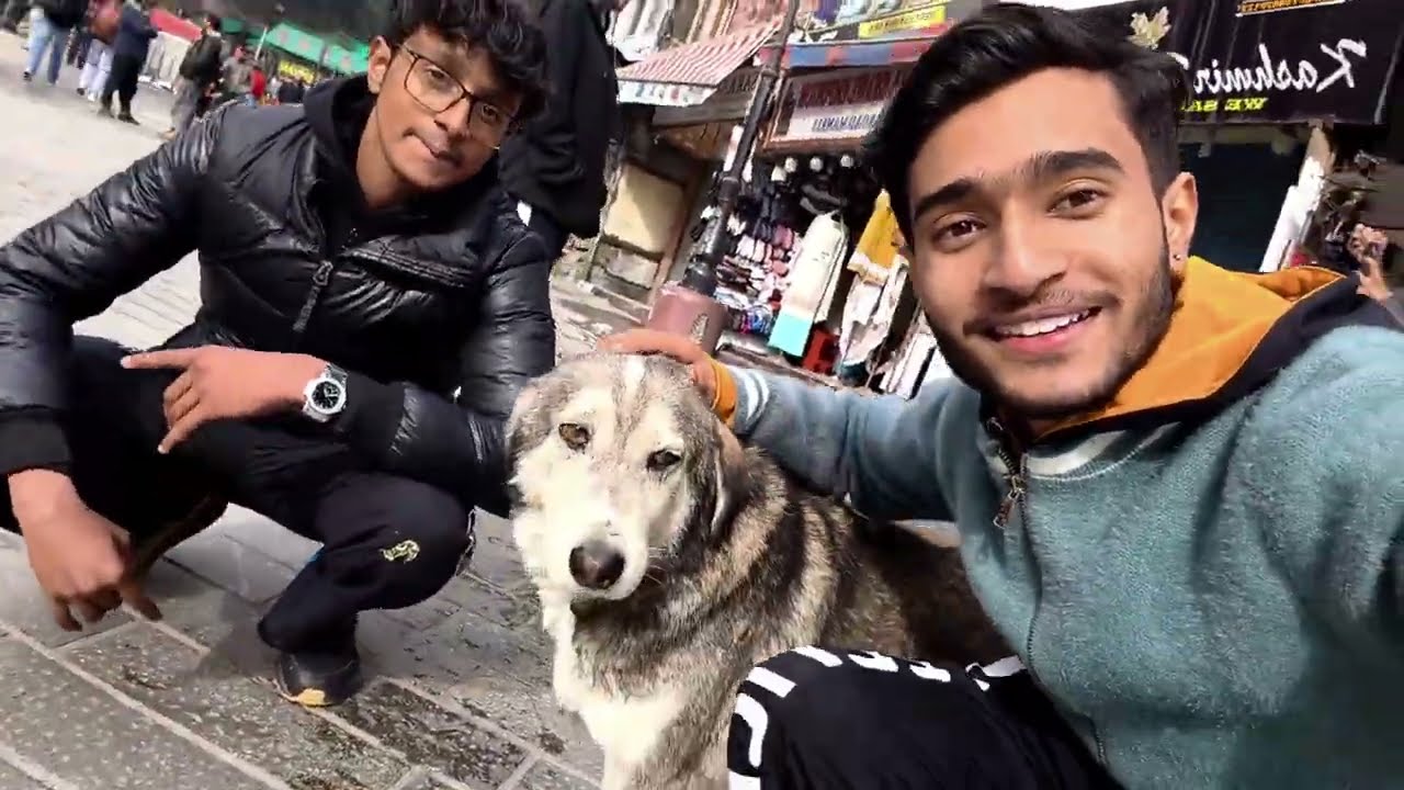 Snow Play + Pahadon Pe Maggie 😋 | Travel Vlog #vlog #shorts #manali #snow 