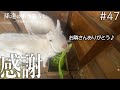 廃墟で暮らすヤギの餌事情…お隣さんに”また”助けられました #47