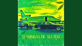 Marimbas de Aleteo