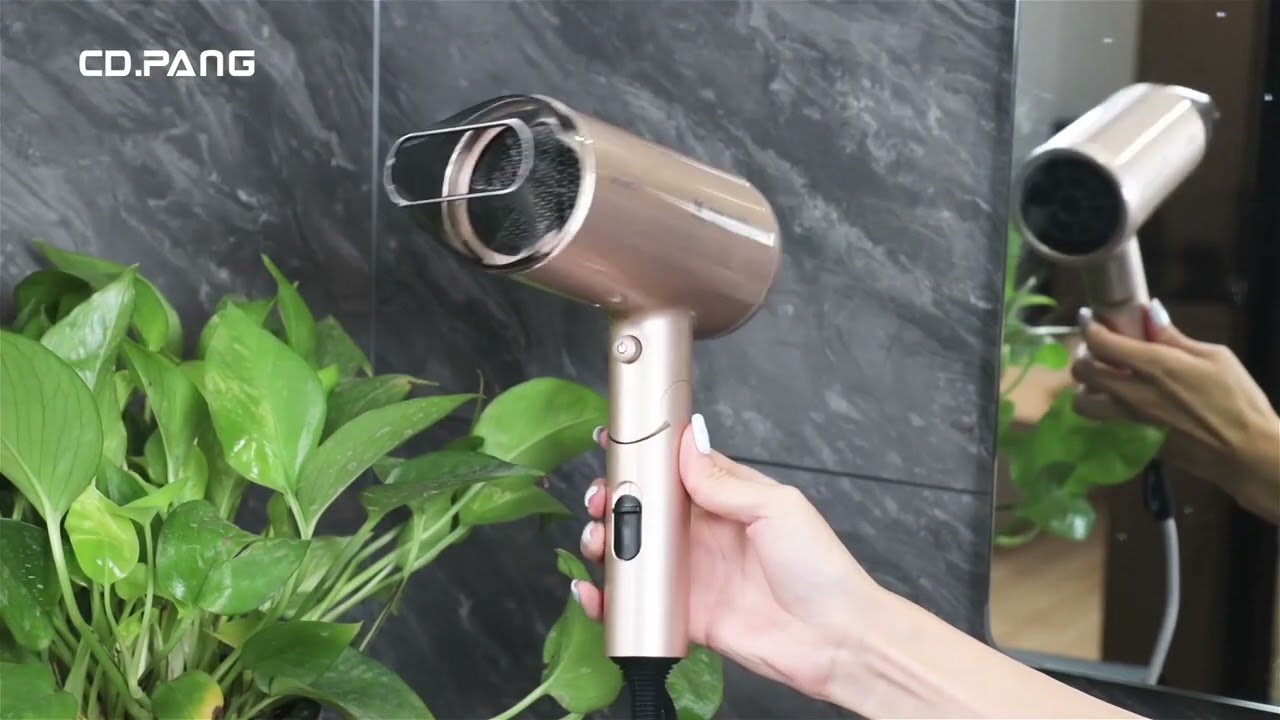 CD.PANG Bionicity Hair Dryer: Glam Hair Tool That Blows (In The Best Way)