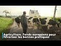 Agriculture fonds europens pour favoriser les bonnes pratiques