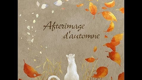 【DDR A20】Afterimage d