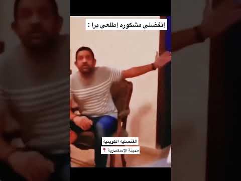 شاهد صدمة وافدة كويتيه بعد طردها من السفاره الكويتيه بمصر مصر السعوديه الكويت